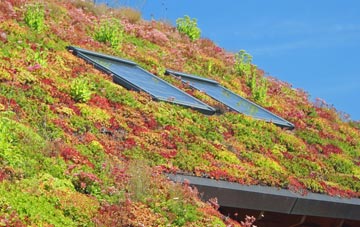 Chiltington living roof systems